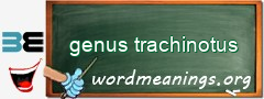 WordMeaning blackboard for genus trachinotus